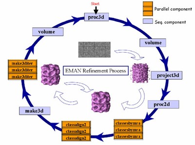 EMAN Cycle Diagram